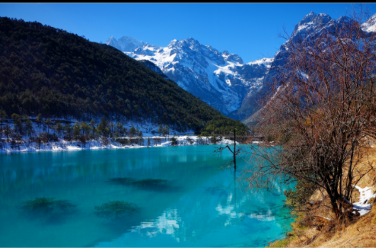 春来自节期间适合去旅游的地方有哪些