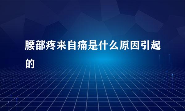 腰部疼来自痛是什么原因引起的