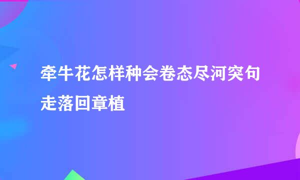 牵牛花怎样种会卷态尽河突句走落回章植