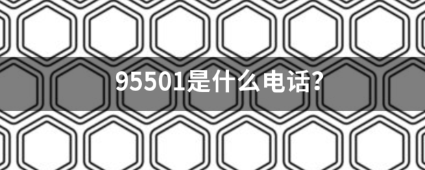 95501是什么电话？