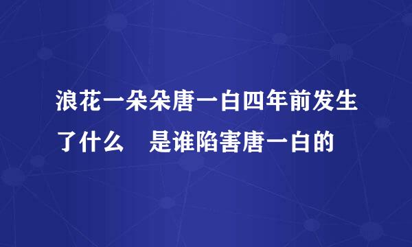 浪花一朵朵唐一白四年前发生了什么 是谁陷害唐一白的