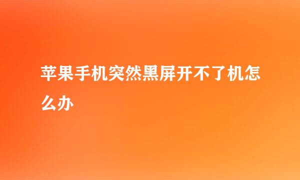 苹果手机突然黑屏开不了机怎么办