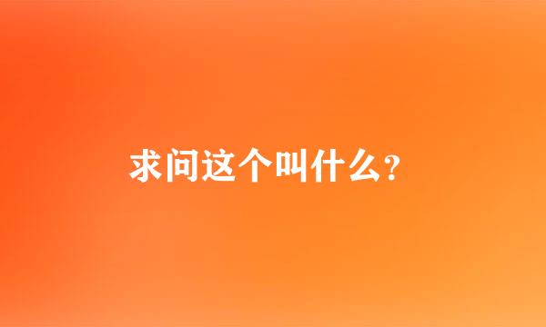 求问这个叫什么？