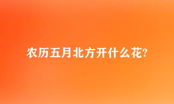 农历五月北方开什么花?