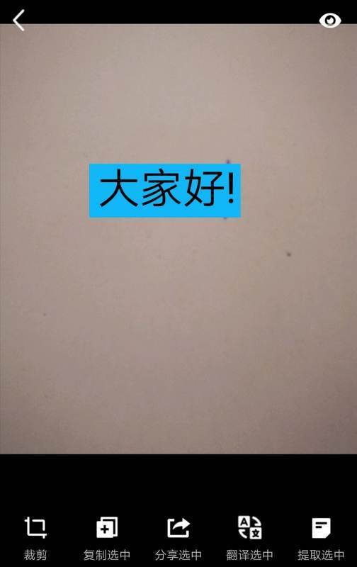 怎么样才能把付费网站上的文章复制下来?