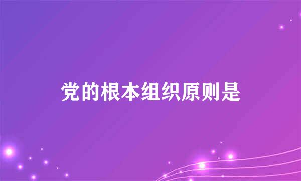 党的根本组织原则是