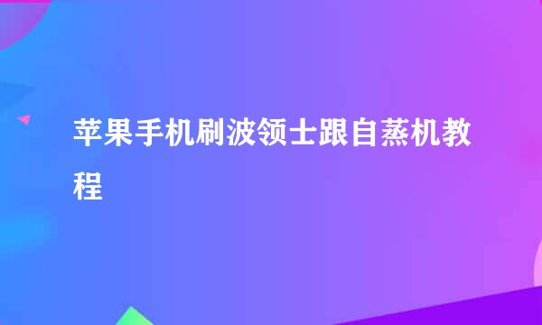 苹果手机刷波领士跟自蒸机教程