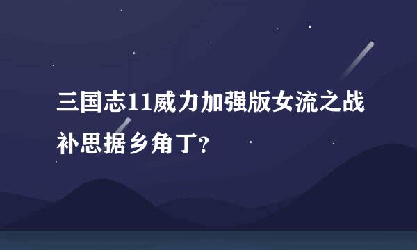 三国志11威力加强版女流之战补思据乡角丁？