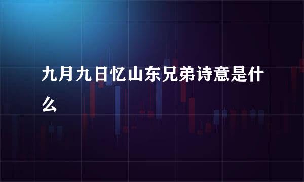 九月九日忆山东兄弟诗意是什么