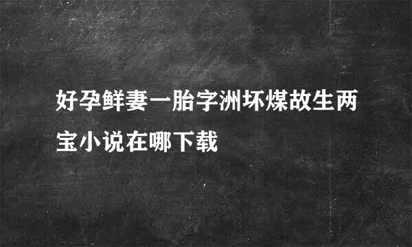 好孕鲜妻一胎字洲坏煤故生两宝小说在哪下载