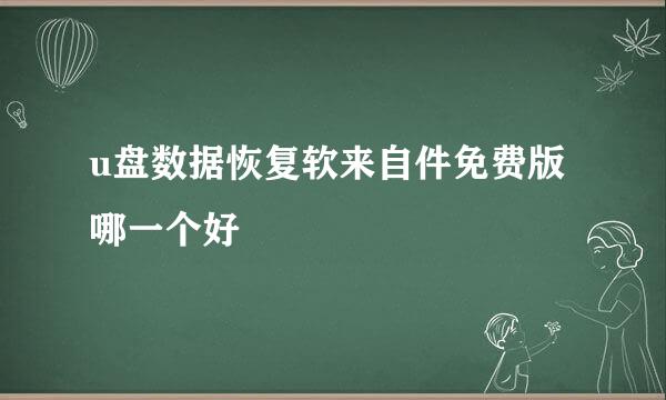 u盘数据恢复软来自件免费版哪一个好