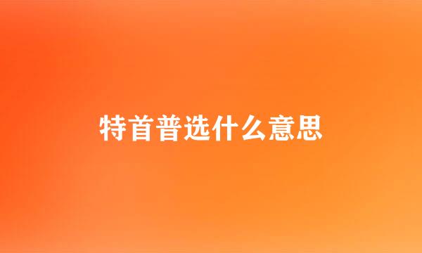 特首普选什么意思