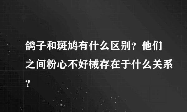 鸽子和斑鸠有什么区别？他们之间粉心不好械存在于什么关系？