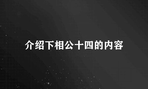 介绍下相公十四的内容