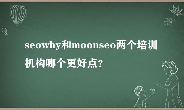 seowhy和moonseo两个培训机构哪个更好点？