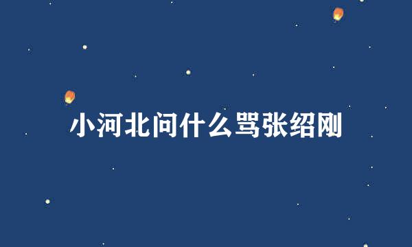 小河北问什么骂张绍刚