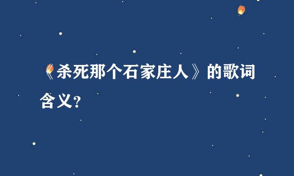 《杀死那个石家庄人》的歌词含义？