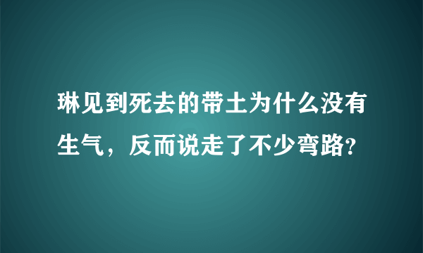 琳见到死去的带土为什么没有生气，反而说走了不少弯路？