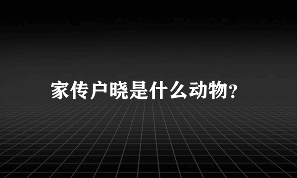 家传户晓是什么动物？