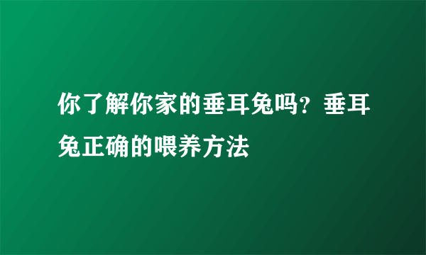 你了解你家的垂耳兔吗？垂耳兔正确的喂养方法