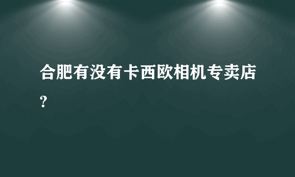 合肥有没有卡西欧相机专卖店?