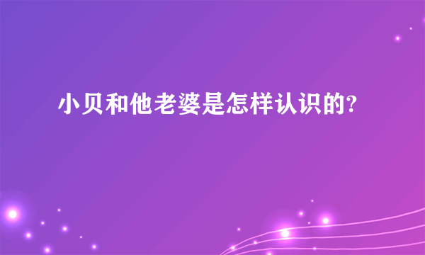 小贝和他老婆是怎样认识的?