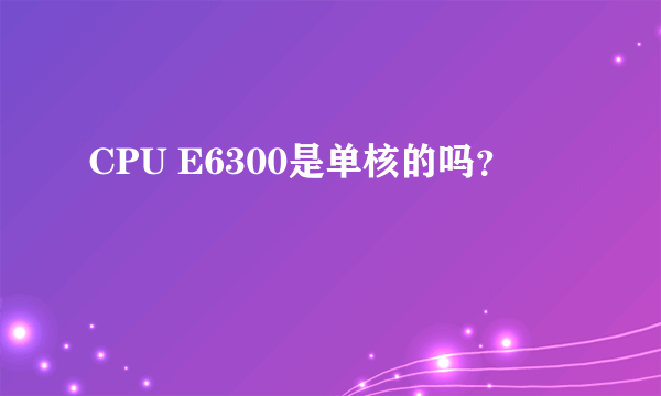 CPU E6300是单核的吗？