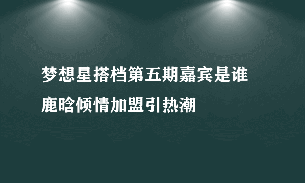 梦想星搭档第五期嘉宾是谁  鹿晗倾情加盟引热潮