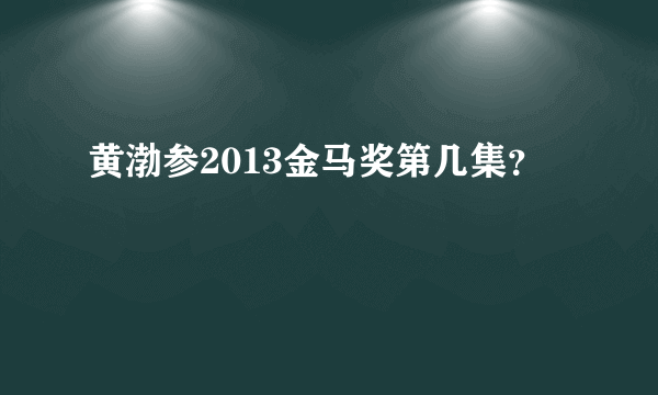 黄渤参2013金马奖第几集？