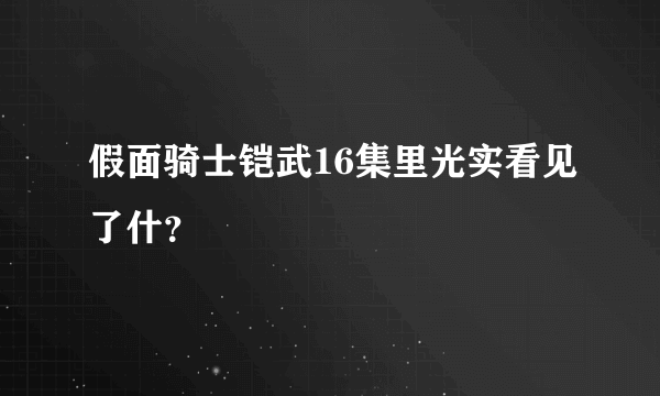 假面骑士铠武16集里光实看见了什？