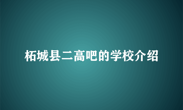 柘城县二高吧的学校介绍