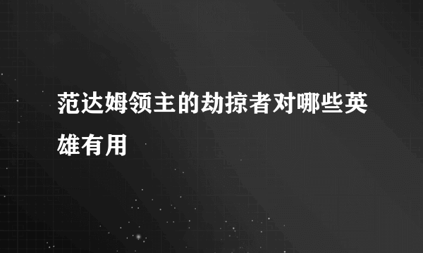 范达姆领主的劫掠者对哪些英雄有用