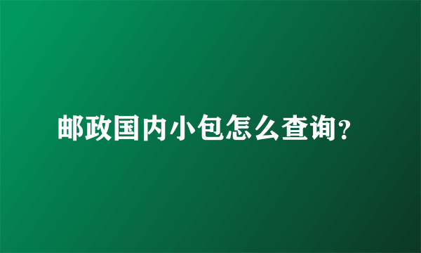 邮政国内小包怎么查询？