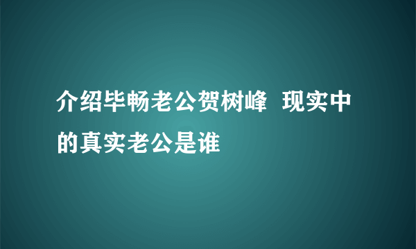 介绍毕畅老公贺树峰  现实中的真实老公是谁