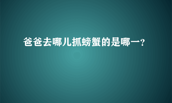 爸爸去哪儿抓螃蟹的是哪一？