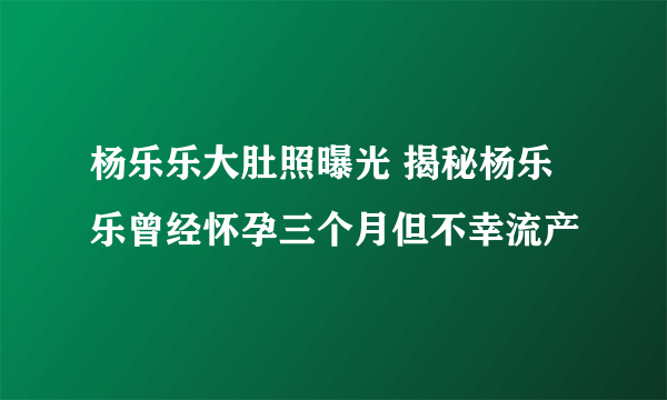 杨乐乐大肚照曝光 揭秘杨乐乐曾经怀孕三个月但不幸流产