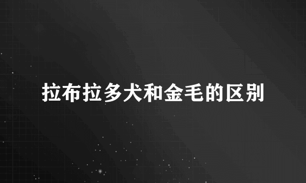 拉布拉多犬和金毛的区别