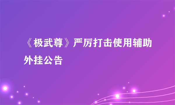 《极武尊》严厉打击使用辅助外挂公告