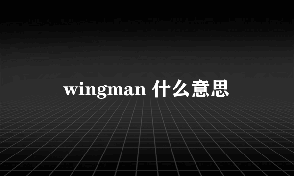 wingman 什么意思