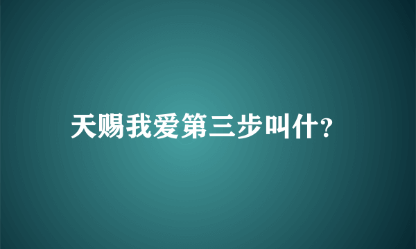 天赐我爱第三步叫什？