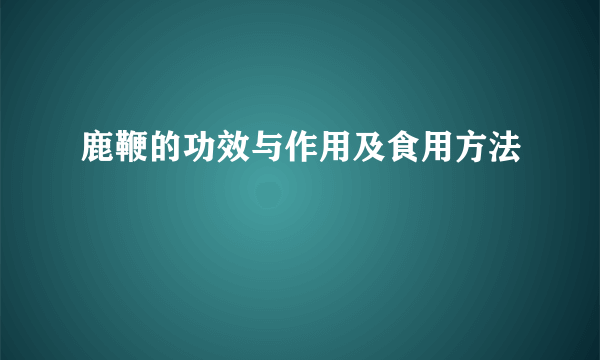 鹿鞭的功效与作用及食用方法