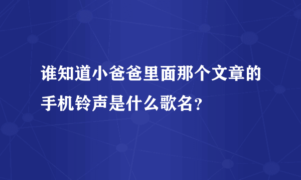 谁知道小爸爸里面那个文章的手机铃声是什么歌名？