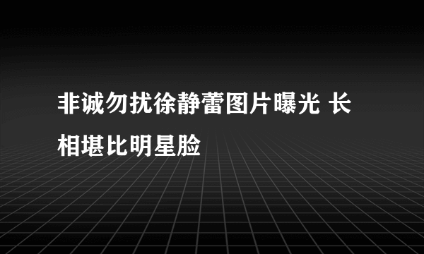 非诚勿扰徐静蕾图片曝光 长相堪比明星脸