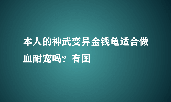 本人的神武变异金钱龟适合做血耐宠吗？有图