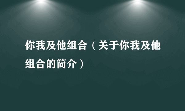 你我及他组合（关于你我及他组合的简介）