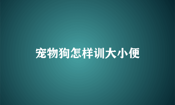 宠物狗怎样训大小便