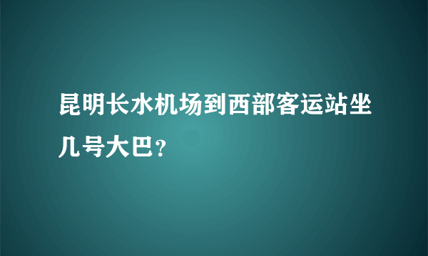 昆明长水机场到西部客运站坐几号大巴？