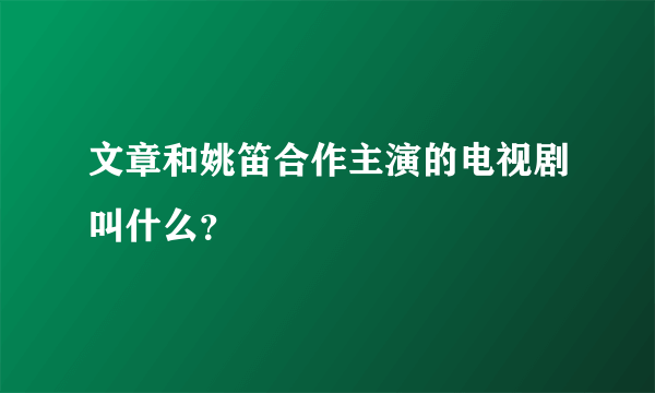 文章和姚笛合作主演的电视剧叫什么？