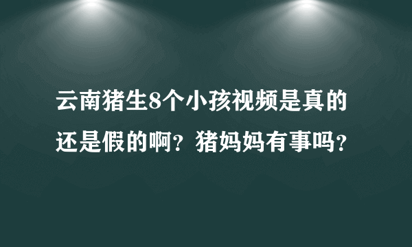 云南猪生8个小孩视频是真的还是假的啊？猪妈妈有事吗？