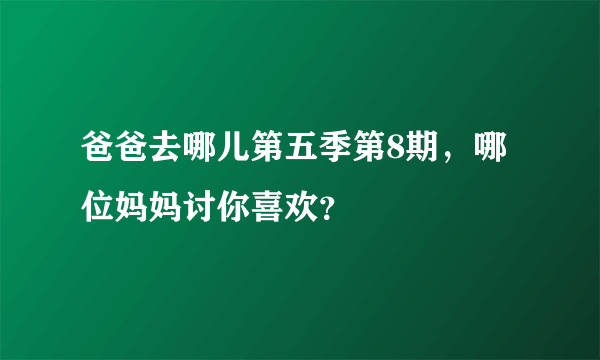 爸爸去哪儿第五季第8期，哪位妈妈讨你喜欢？